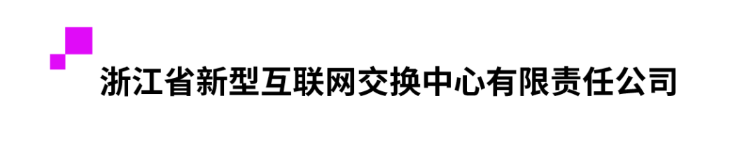 浙江省新型互联网交换中心有限责任公司.png