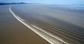 钱塘江数字浪潮 图片